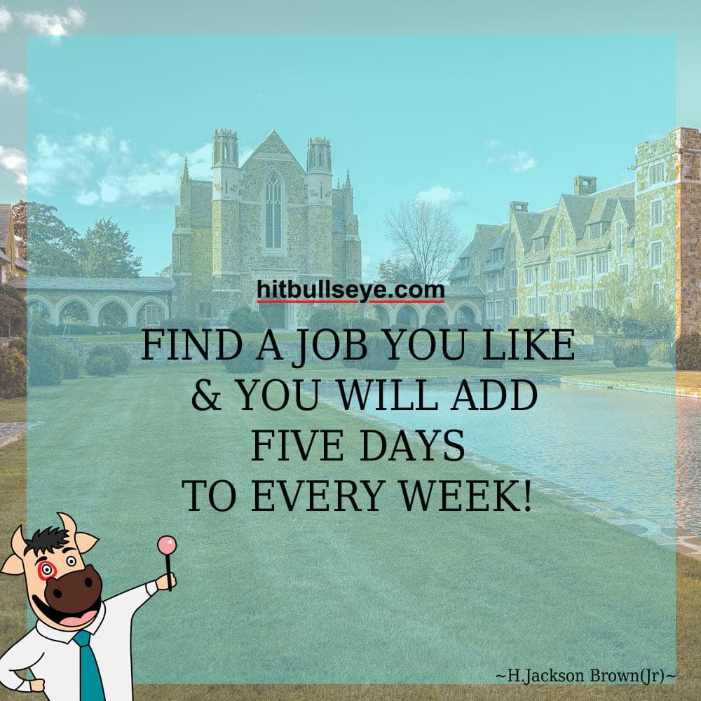 Hitbullseye HitBulls Eye: Gallery photo 7